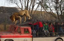 Safari Park ticket