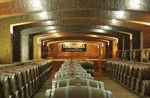 Traditional Undurraga tour