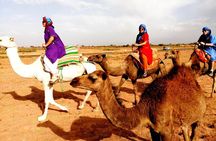 5 Valleys Atlas mountains day trip from Marrakech with camel ride