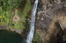 Rappel Maui Waterfalls and Rainforest Cliffs