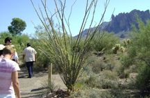 Apache Trail and Dolly Steamboat Van Tour