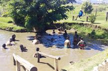 Half Day Nadi Sightseeing & Mud Pool Tour