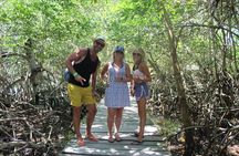 Holbox Island from Playa del Carmen