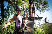 7-Line Maui Zipline on the North Shore