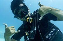 Incredibly Fun 2-Tank Coral Reef South Shore Boat Dive in Oahu from Waikiki