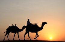 Dubai Premium Desert Safari: Dune Bashing,Camel Ride,Shows & BBQ