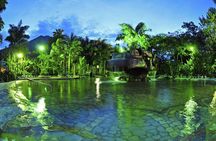 2 Days - 1 Night - Arenal Volcano & Baldi Hot Springs from San Jose