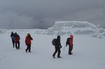 Mount Kilimanjaro Trek 8 days Lemosho Route