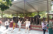 Kuala Gandah Elephant Sanctuary with a Batu Caves Visit