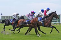 Kenilworth Raceday Tour