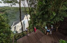 Kuranda Day Tour, TKS-RFS CLASSIC GOLD PLUS 0930