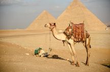 Pyramids, Sphinx & Tourist Bazaar Tour from Cairo Airport