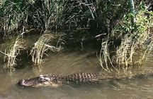 Everglades Tour from Miami