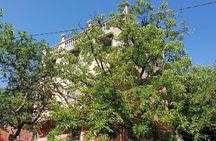 Small Group Half Day Trip to the Hight Atlas mountains 