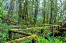 Chiang Mai: Doi Inthanon National Park, Waterfall & Royal Project