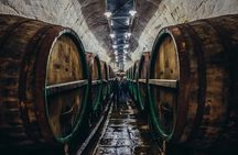 Private Tour to Pilsner Urquell from Prague