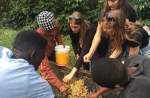 Coffee tour and Buffet Lunch with Kingstone Asilia (Arusha)