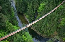 Post-Cruise Shore Excursion: Capilano Suspension Bridge & Grouse Mountain