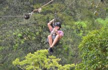 Canopy & Tarzan Swing In The Base of The Arenal Volcano