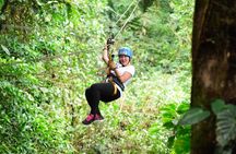 Canopy & Tarzan Swing In The Base of The Arenal Volcano