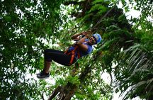 Canopy & Tarzan Swing In The Base of The Arenal Volcano