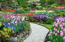 Victoria and Butchart Gardens Day Trip from Vancouver