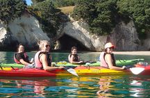 Cathedral Cove Kayak Tour