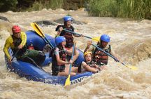 Sloth Sanctuary + Rafting class II & III Combo