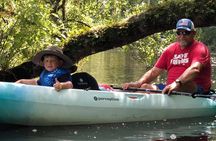Guided Kayak Eco Tour: Real Florida Adventure