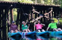 Guided Kayak Eco Tour: Real Florida Adventure