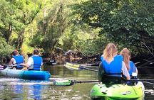 Guided Kayak Eco Tour: Real Florida Adventure