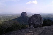Day tour to Sigiriya