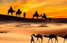 Dubai Desert Safari, ATV open desert, Camel ride, Shows & BBQ 