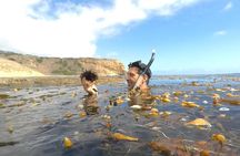 Snorkeling Los Angeles