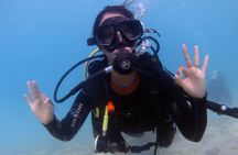 Discover Scuba Dive in Gran Canaria