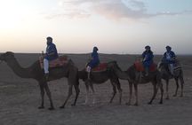  Quad bikes & Camel in Agafay Desert with lunch 