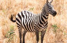 Two days sipi falls and Pian upe Nataional Game reserve in Uganda