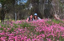 Spring Wildflower Private Day Tours