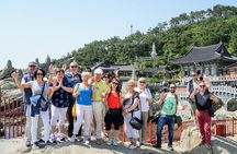 Full Day Private Busan Highlight Tour with Licensed Guide