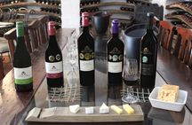 Camino Private Package wine experience PICKUP from CAPE TOWN 