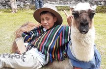 Private Tour to Otavalo & Surroundings 