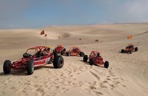 Dune Buggy, UTV or ATV Experience at Pismo Beach