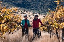 Bike The Wineries 3/4 Day Ride - Queenstown