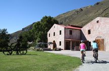 Bike The Wineries 3/4 Day Ride - Queenstown