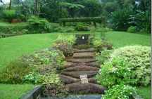 Montreal Gardens Tour with Trubb Taxi Tours