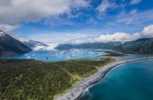 Bear Glacier Scenic Express Flight