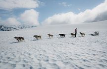 Helicopter Glacier & Dog Sledding Adventure Tour