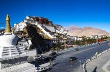 [Classic Route] Tibet Panorama 11-Day Tour—Lhasa + Nyingchi + Shigatse + Everest Base Camp + Namtso