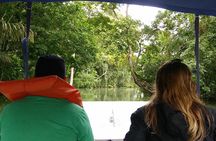 Boat tour in the Panama Canal to Monkeys and sloths islands