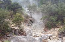 Kawah Putih tour - Day trip Ticket etc all including 